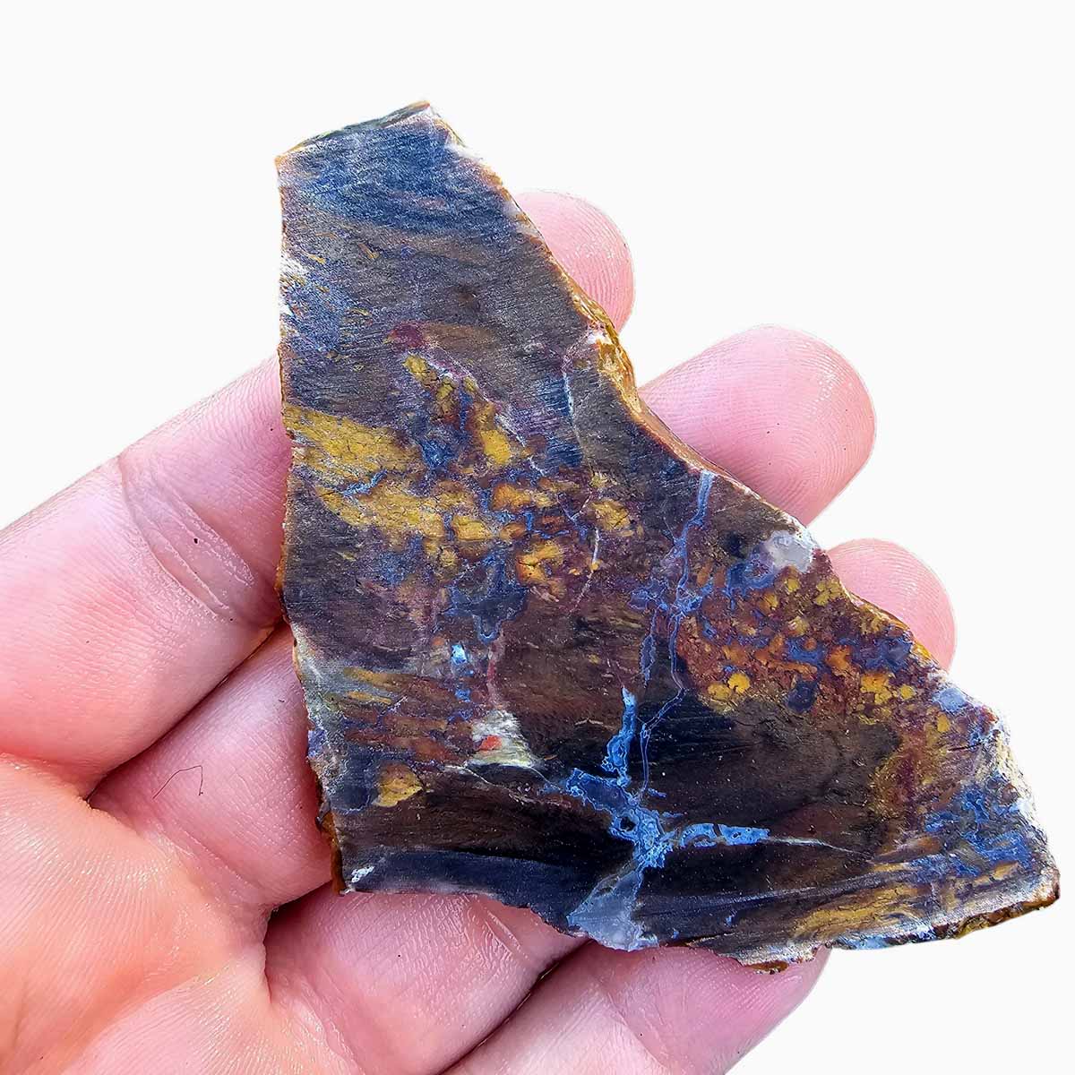 Ochoco Shrinkwood Petrified Wood Slab!  Lapidary Stone Slab