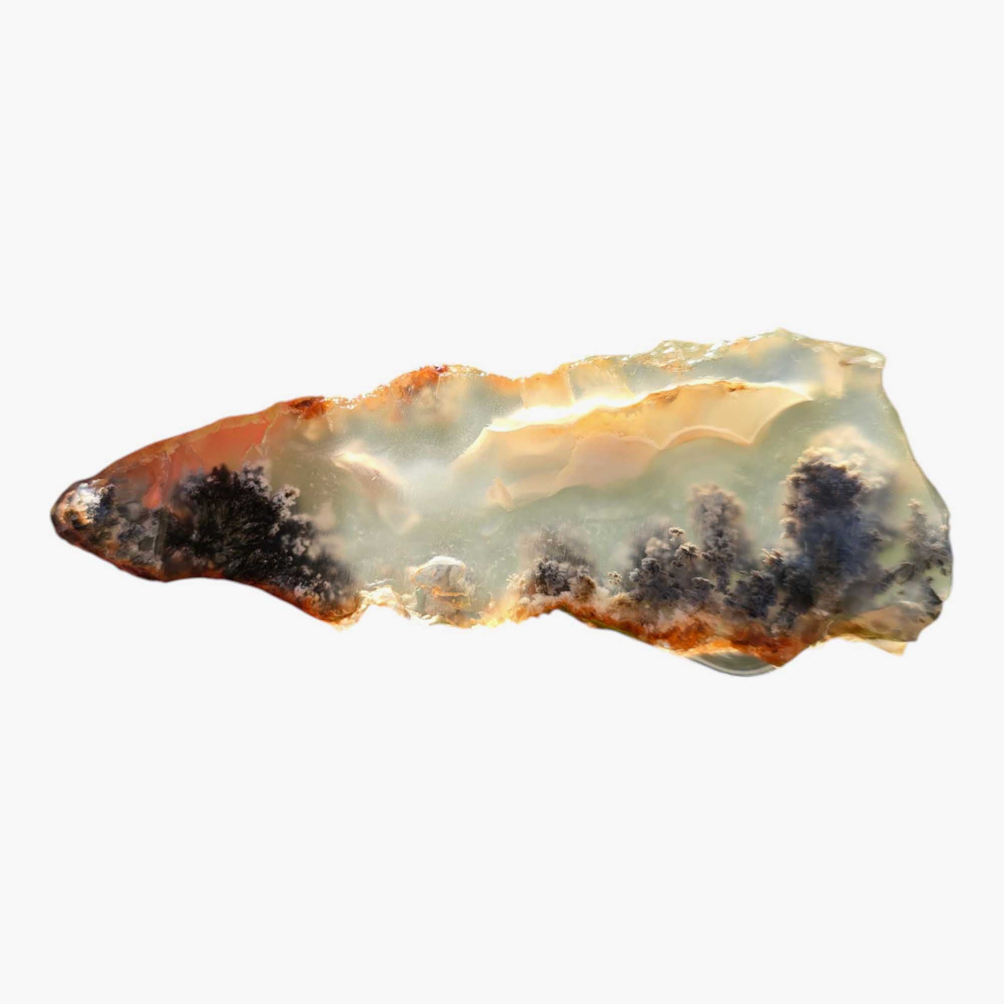 Ojinaga Plume Agate Agate Slab Lapidary Stone Slice Cut Rock