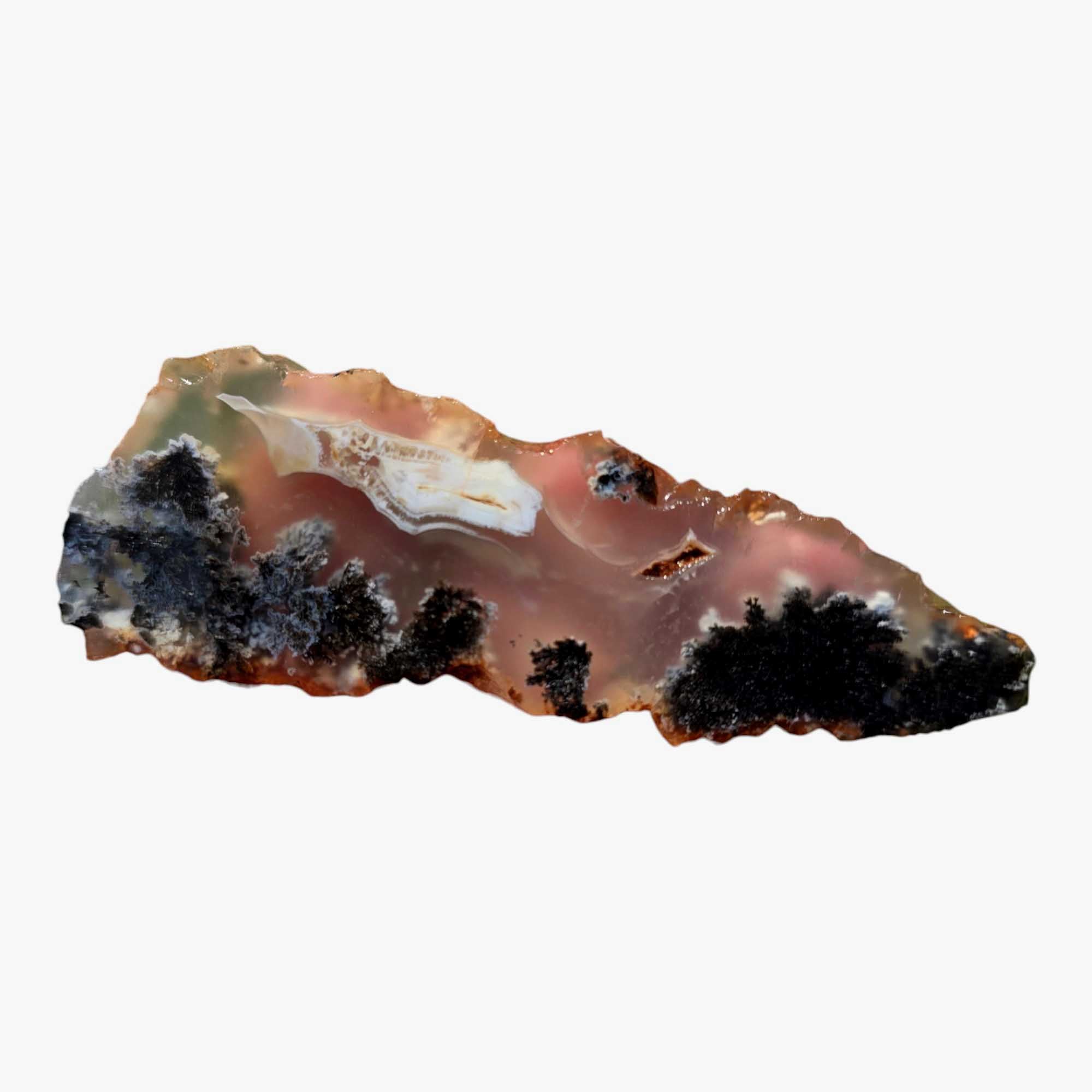 Ojinaga Plume Agate Agate Slab Lapidary Stone Slice Cut Rock