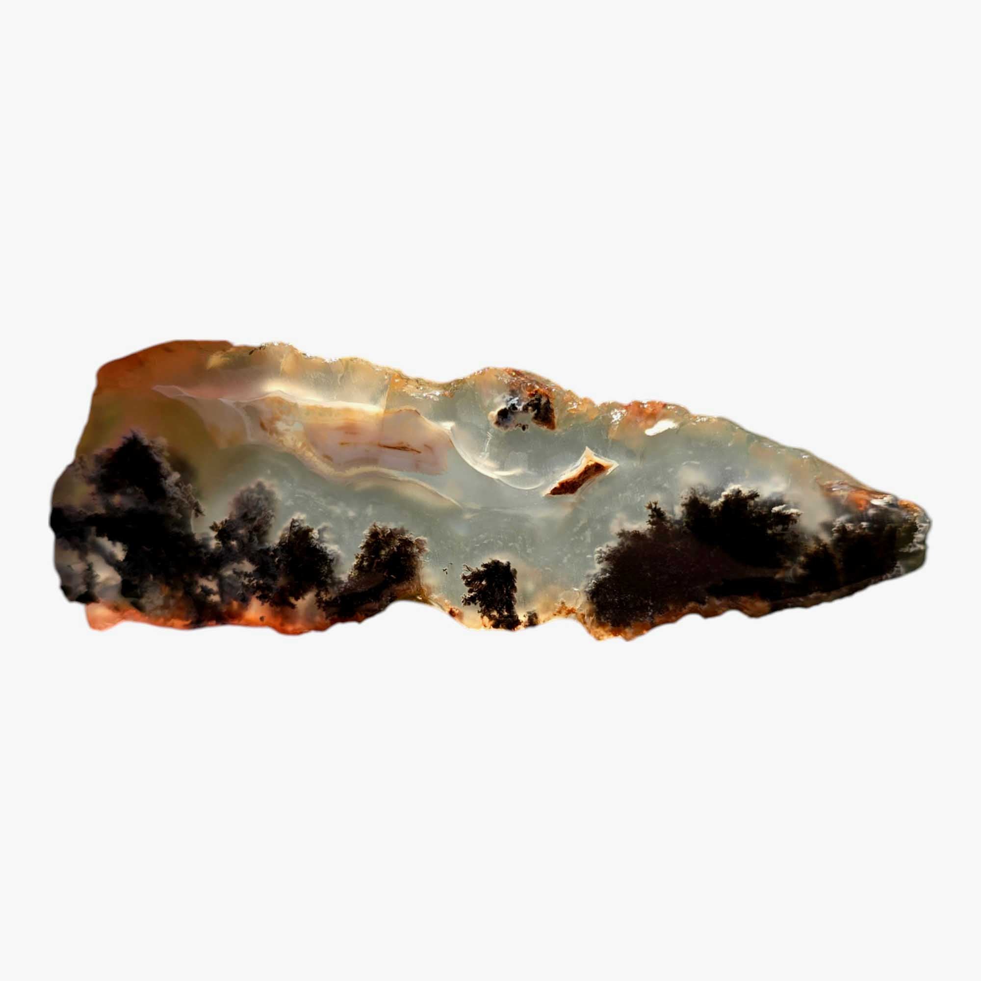 Ojinaga Plume Agate Agate Slab Lapidary Stone Slice Cut Rock