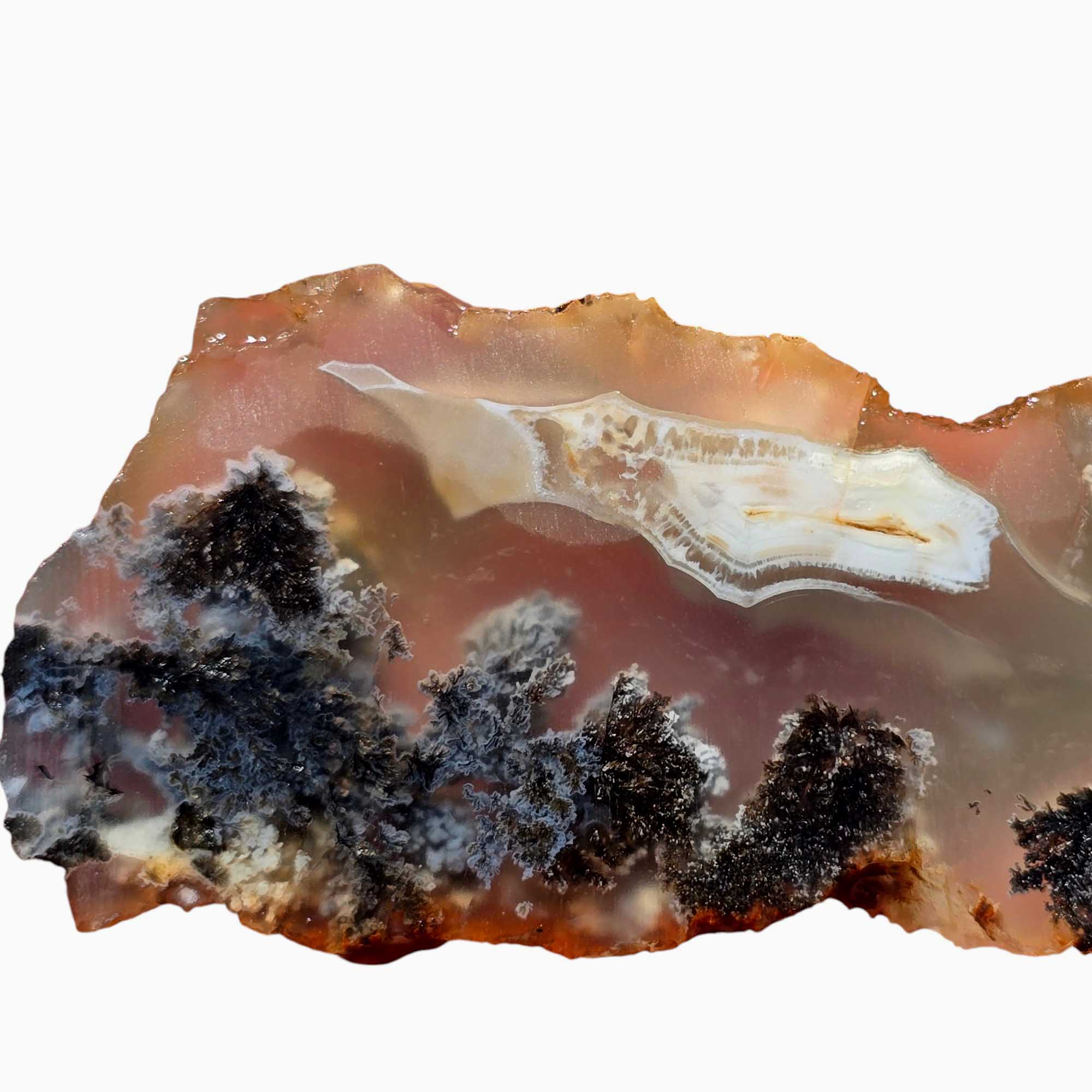 Ojinaga Plume Agate Agate Slab Lapidary Stone Slice Cut Rock