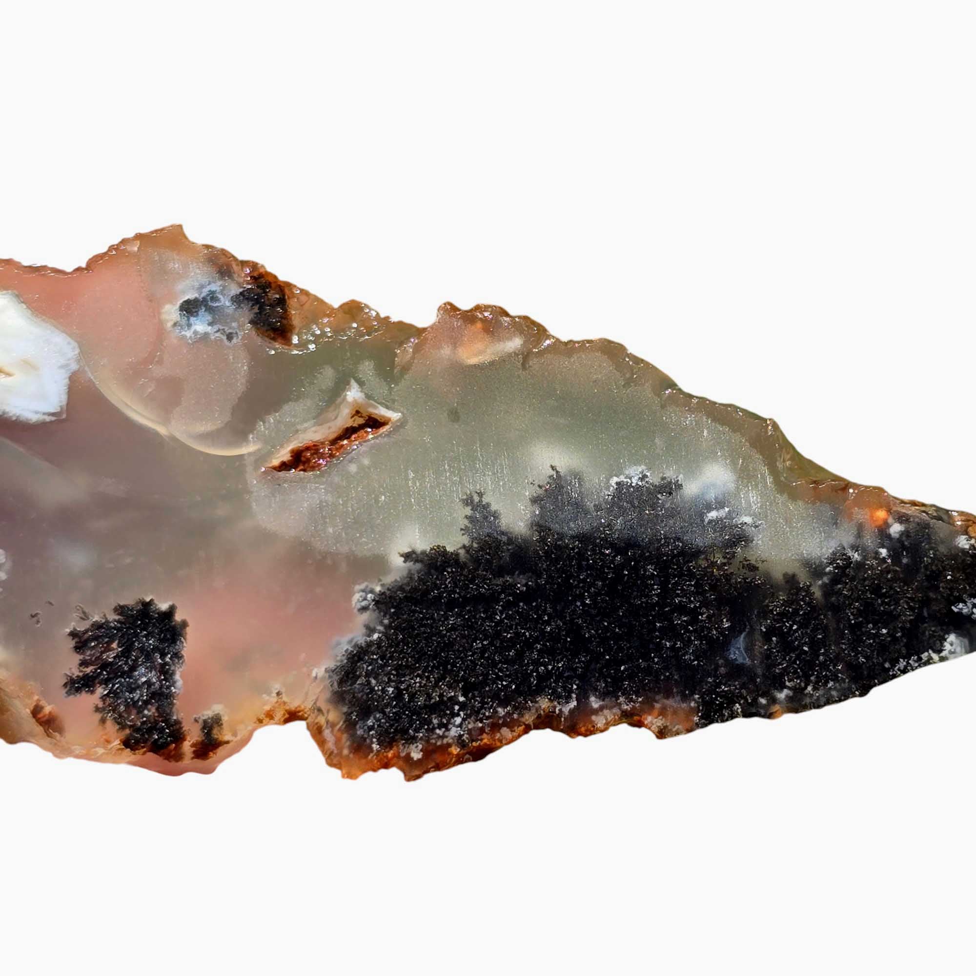 Ojinaga Plume Agate Agate Slab Lapidary Stone Slice Cut Rock