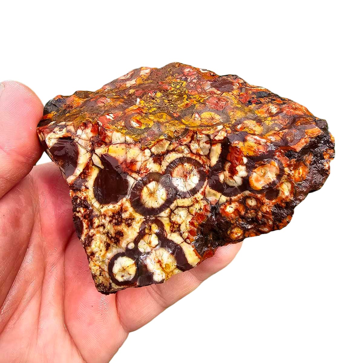 Old Stock Birdseye Rhyolite Rough Chunk!