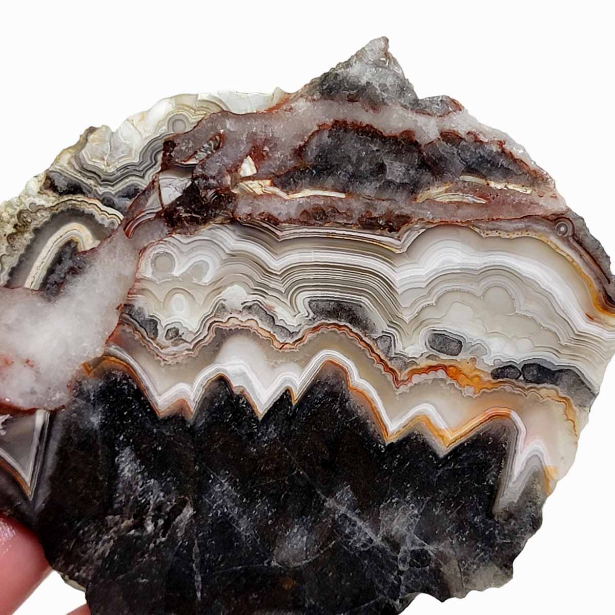 Old Vein Crazy Lace Agate Slab!  Lapidary Stone Slab!