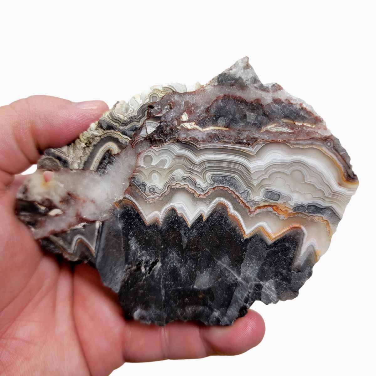 Old Vein Crazy Lace Agate Slab!  Lapidary Stone Slab!