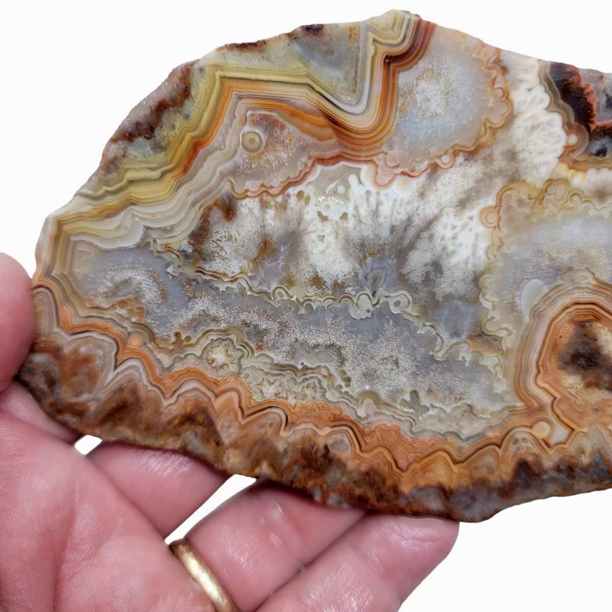 Crazy Lace Agate Slab!  Lapidary Stone Slab!