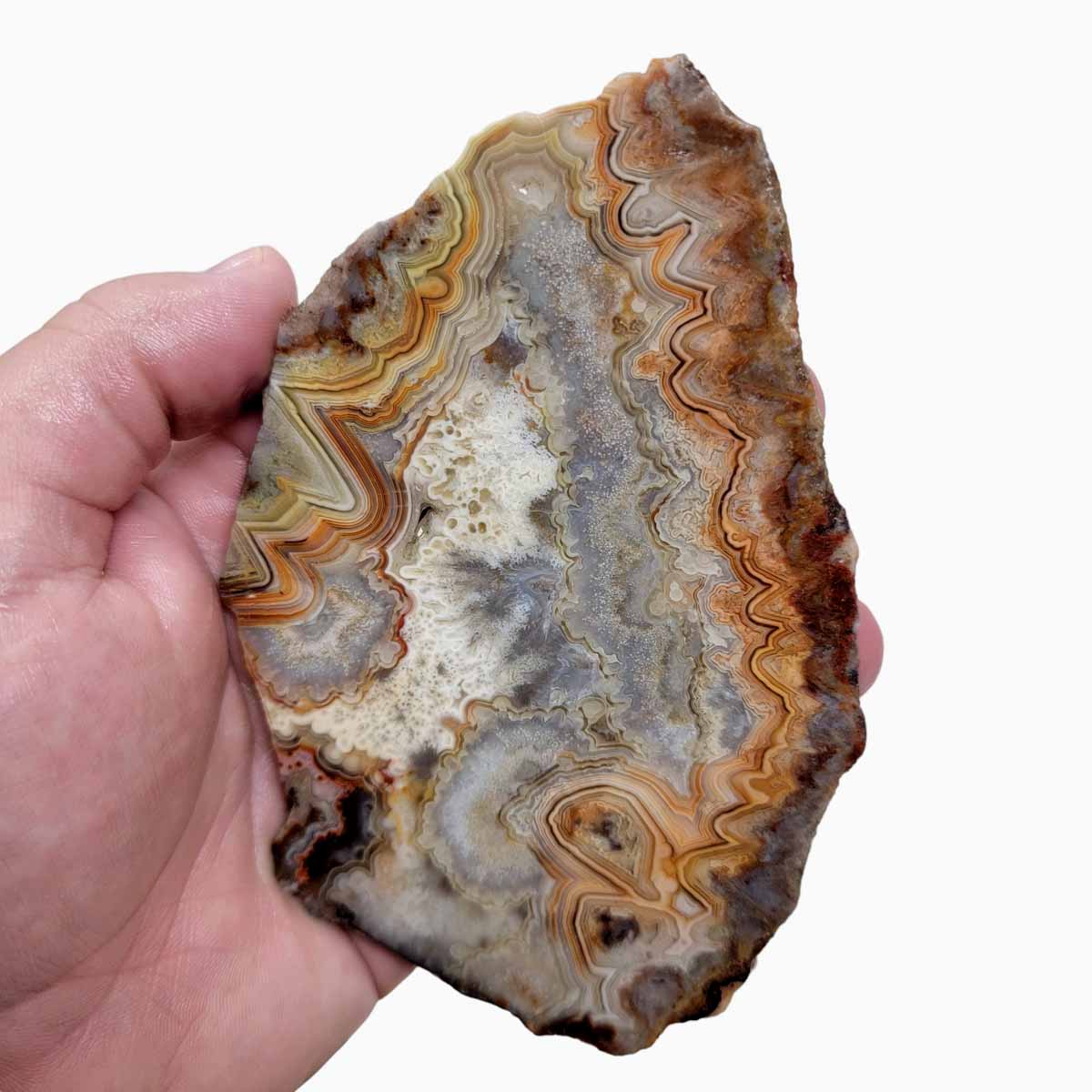 Crazy Lace Agate Slab!  Lapidary Stone Slab!