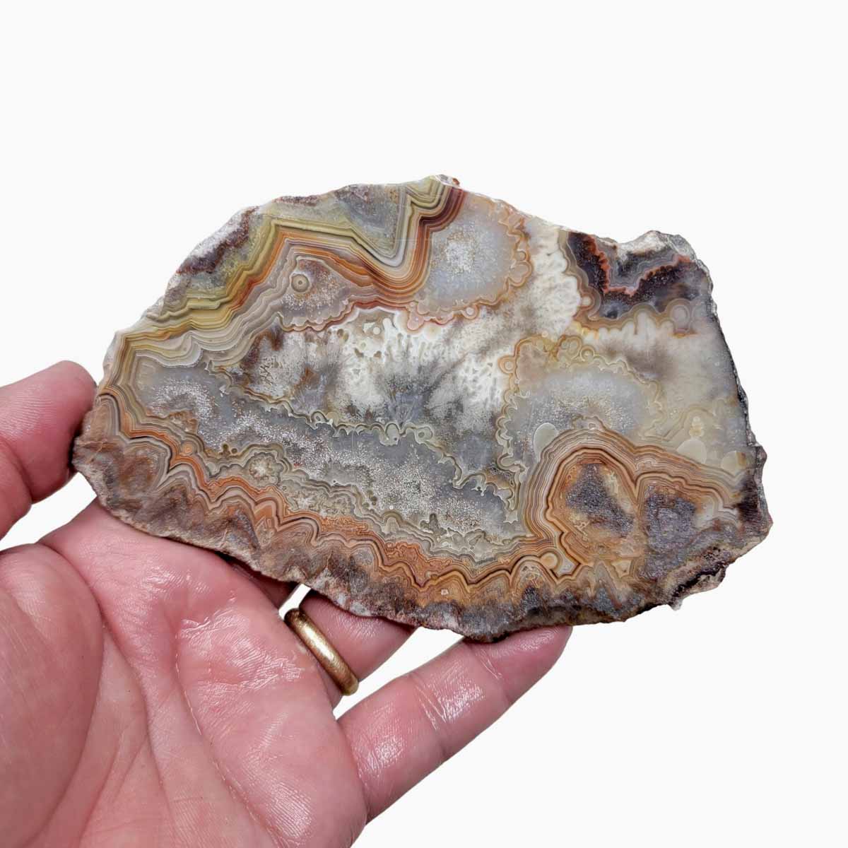 Crazy Lace Agate Slab!  Lapidary Stone Slab!