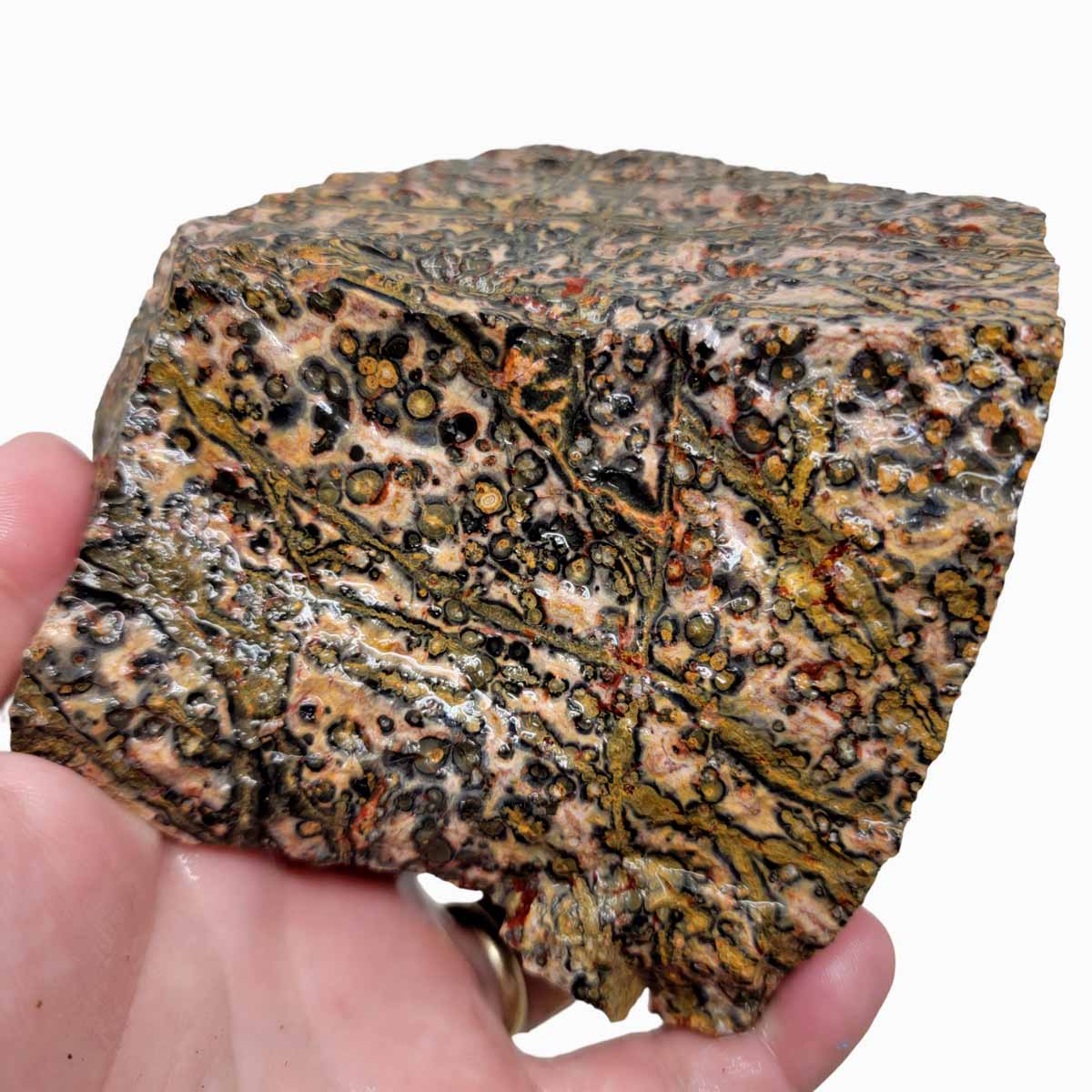 Leopard Skin Rhyolite Rough Chunk!