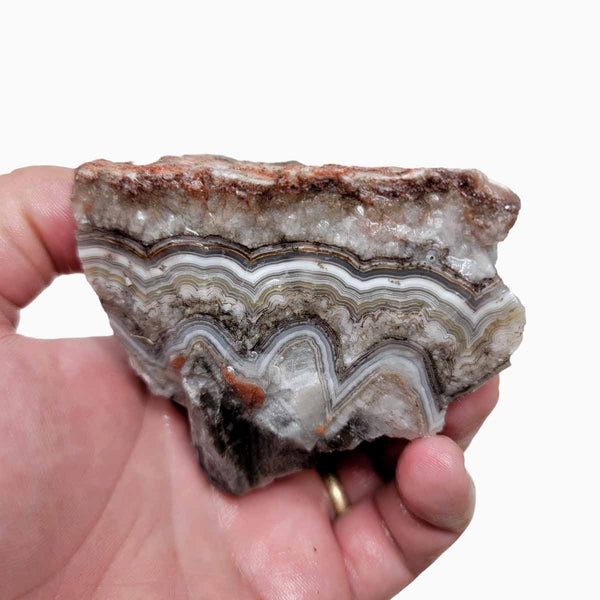 Old Vein Lace Agate Rough Chunk!