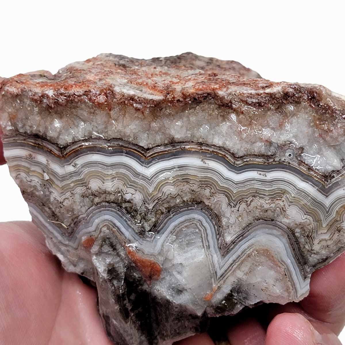 Old Vein Lace Agate Rough Chunk!