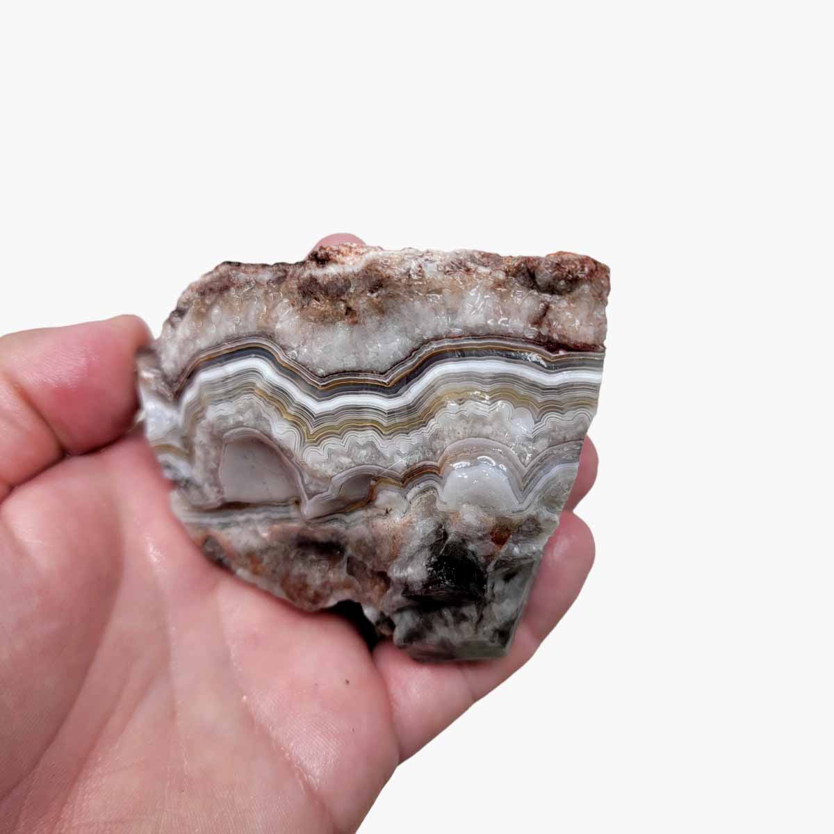 Old Vein Lace Agate Rough Chunk!