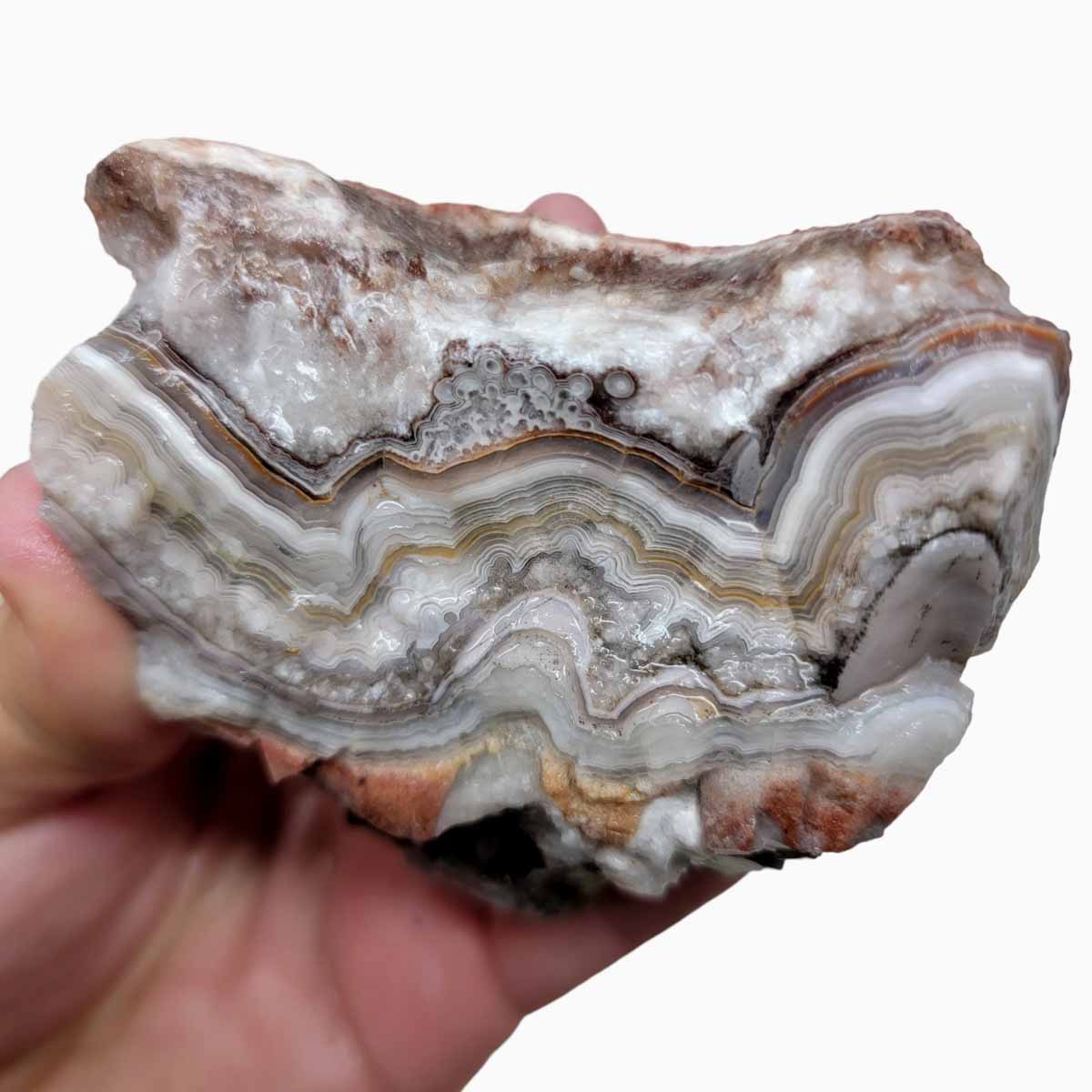 Old Vein Lace Agate Rough Chunk!