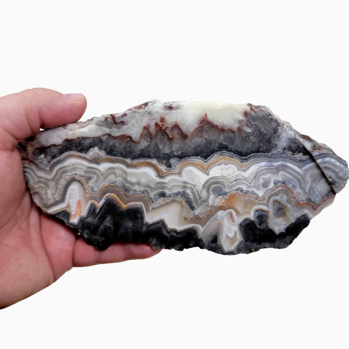 Old Vein Crazy Lace Agate Slab!  Lapidary Stone Slab!