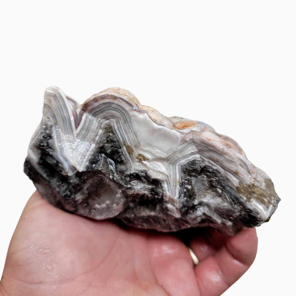 Old Vein Lace Agate Rough Chunk!