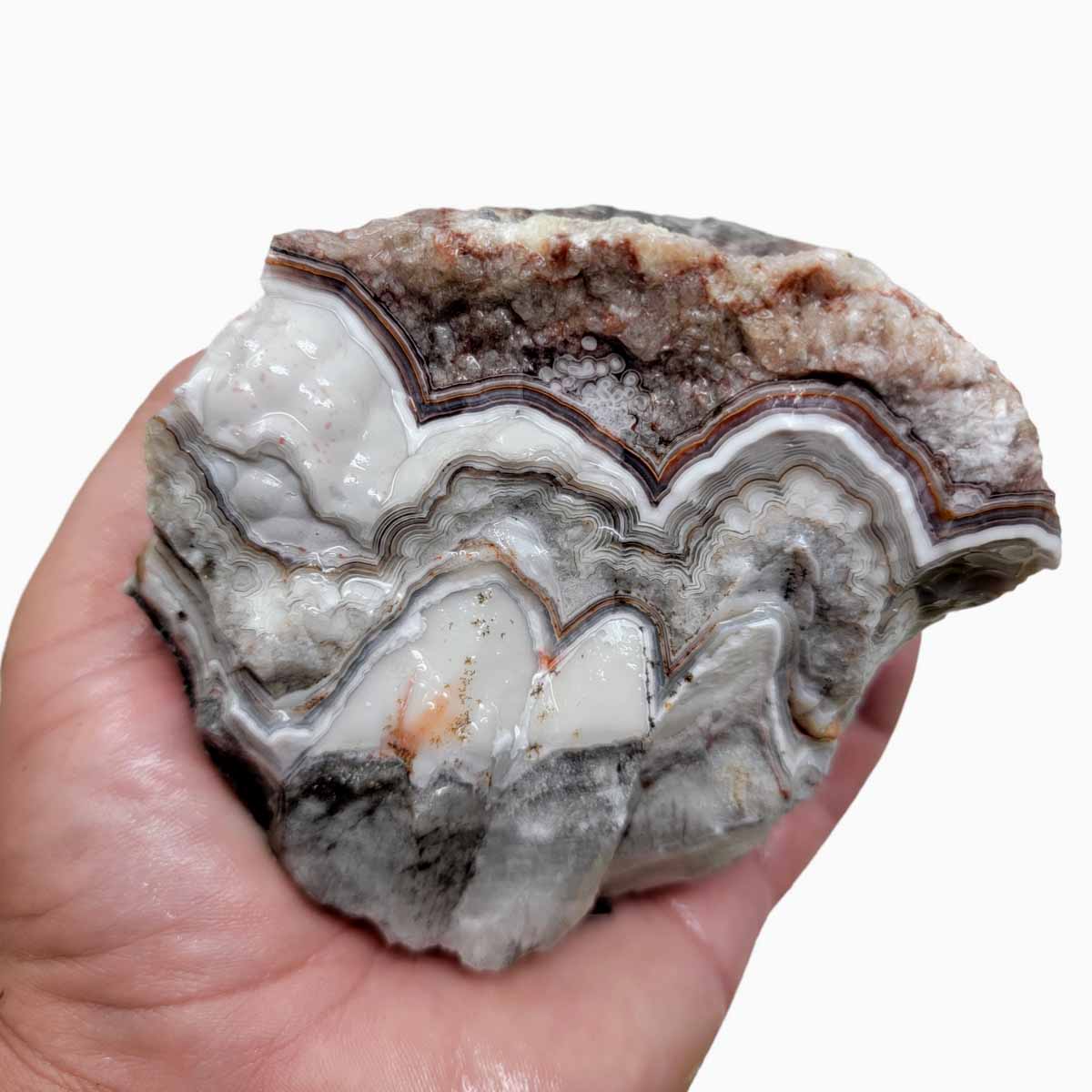 Old Vein Lace Agate Rough Chunk!