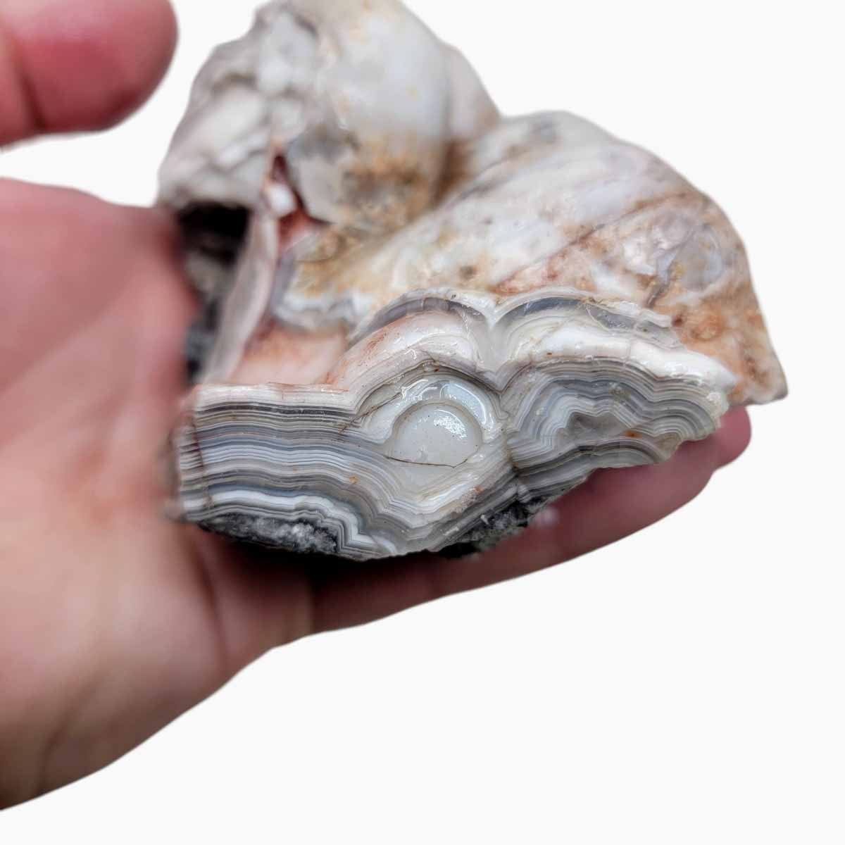 Old Vein Lace Agate Rough Chunk!