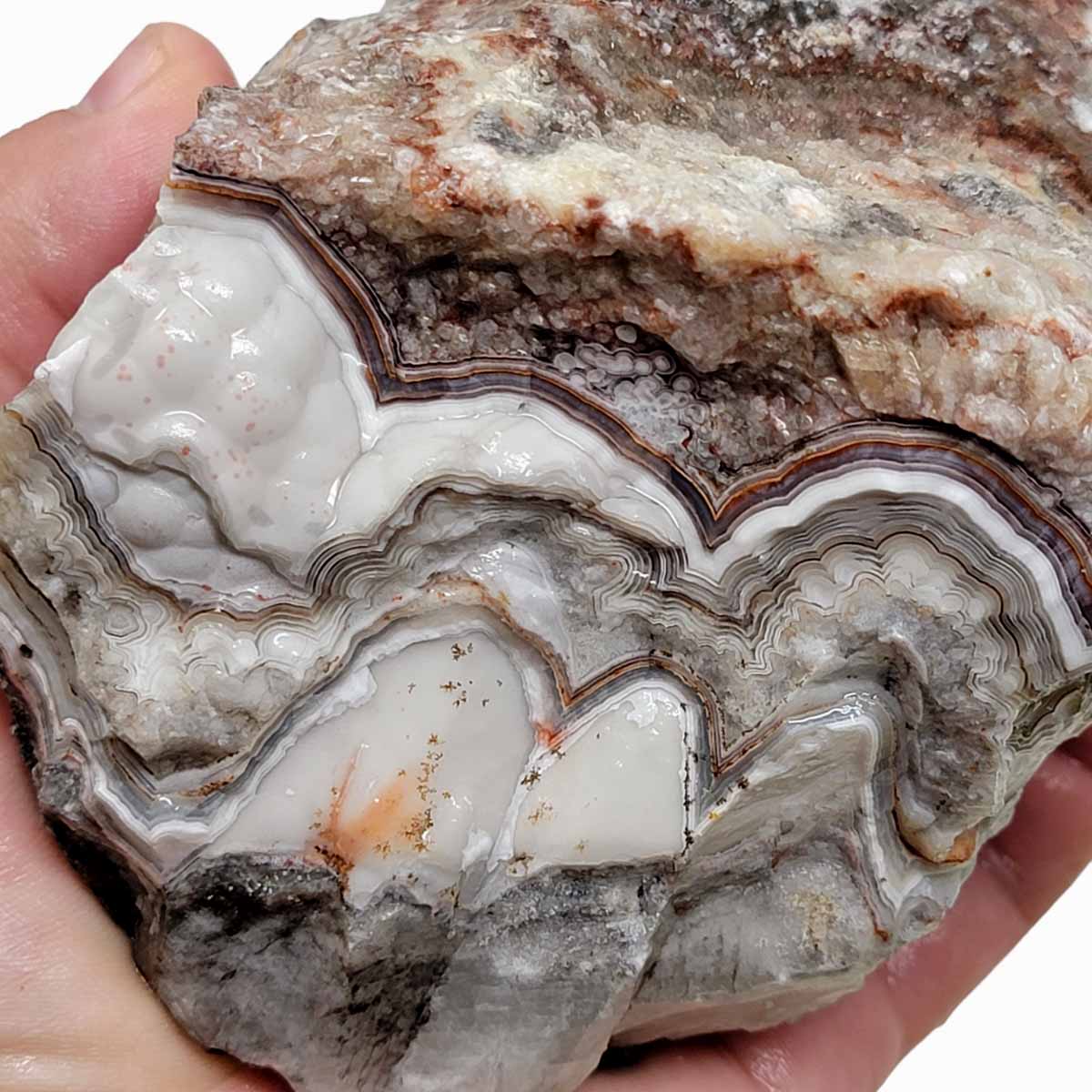 Old Vein Lace Agate Rough Chunk!