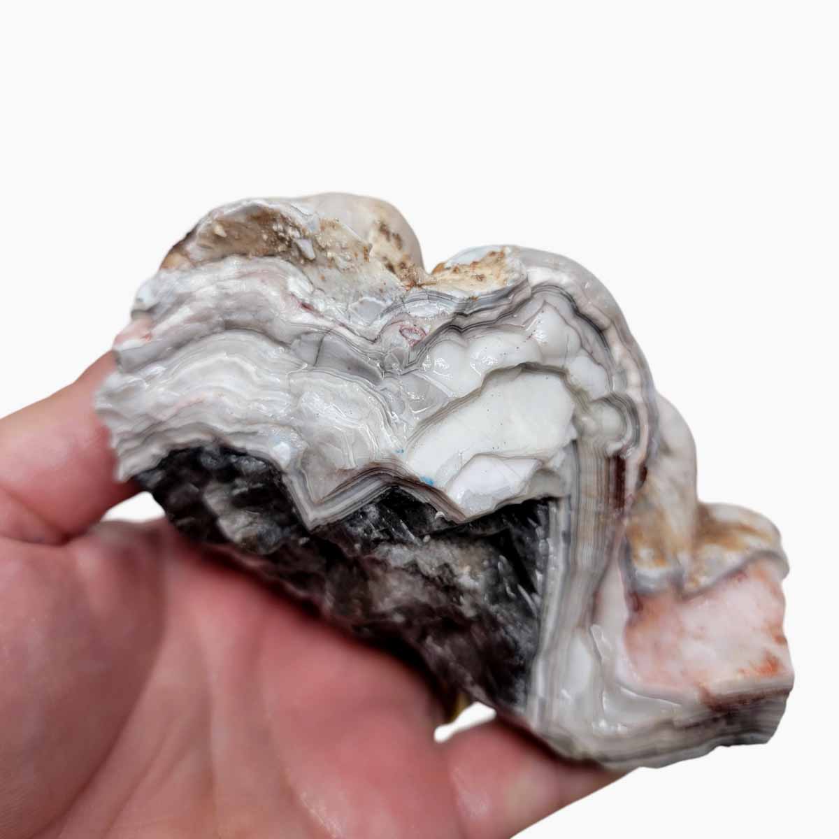 Old Vein Lace Agate Rough Chunk!