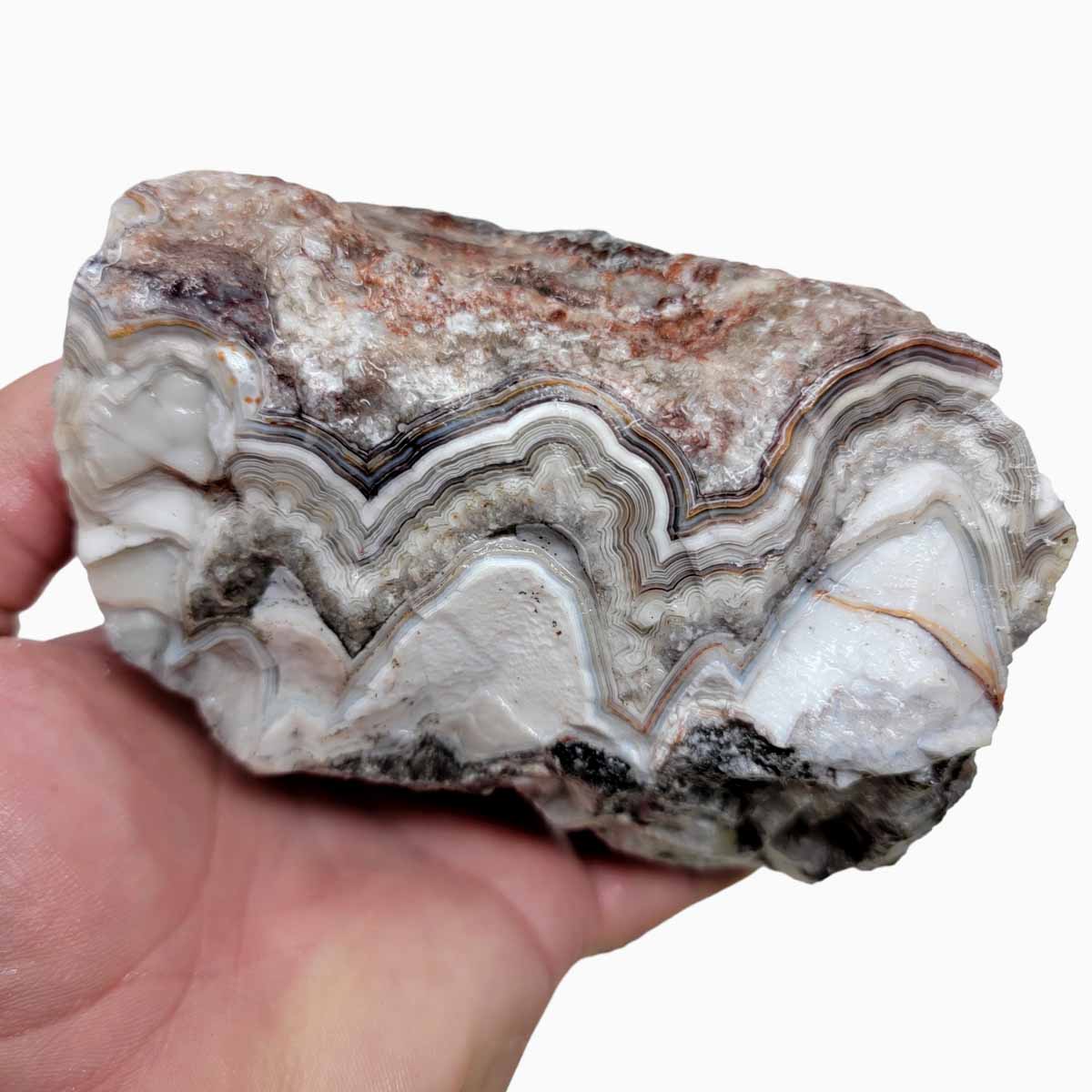 Old Vein Lace Agate Rough Chunk!