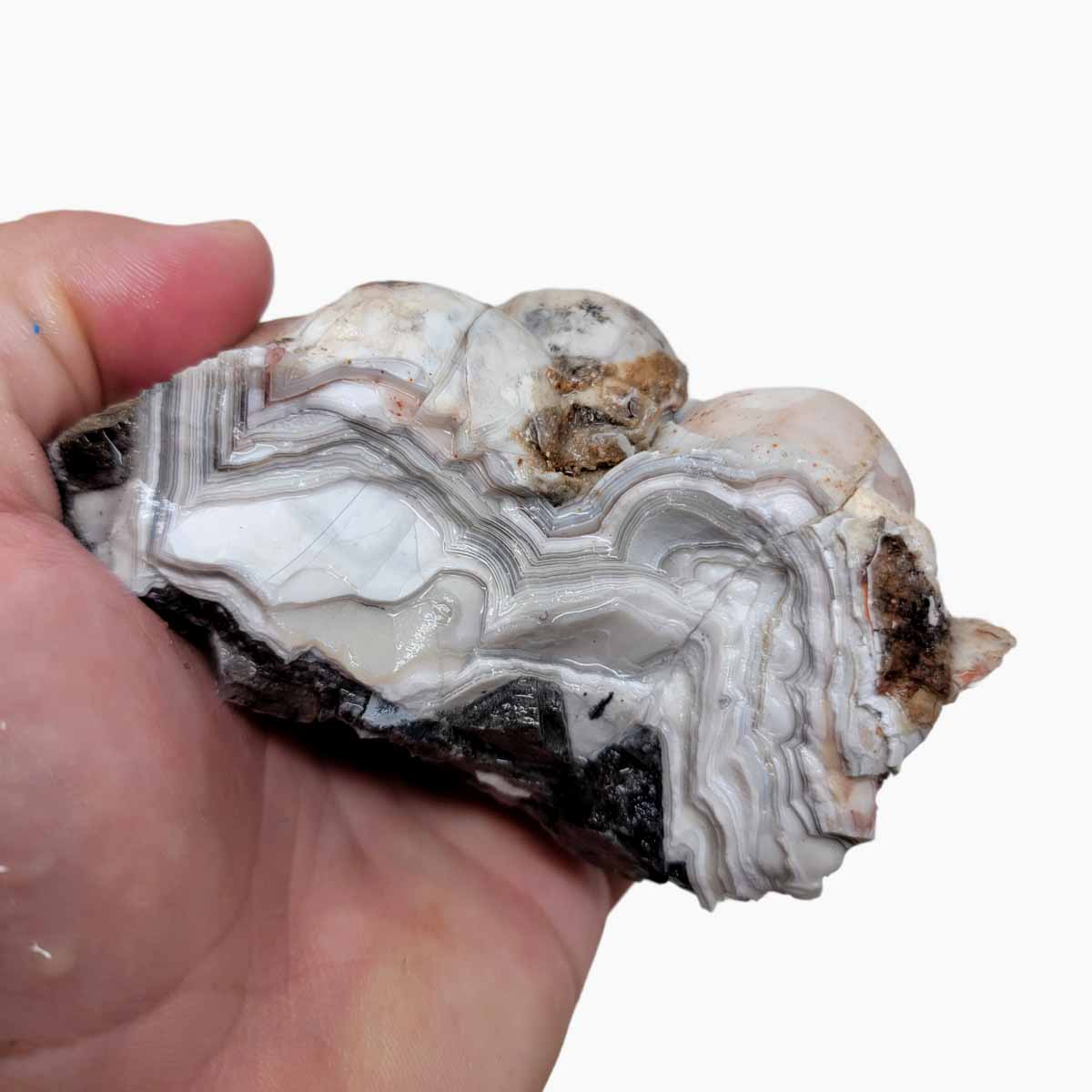 Old Vein Lace Agate Rough Chunk!