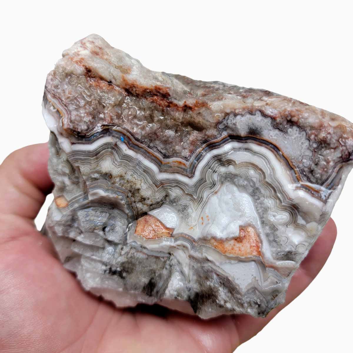 Old Vein Lace Agate Rough Chunk!