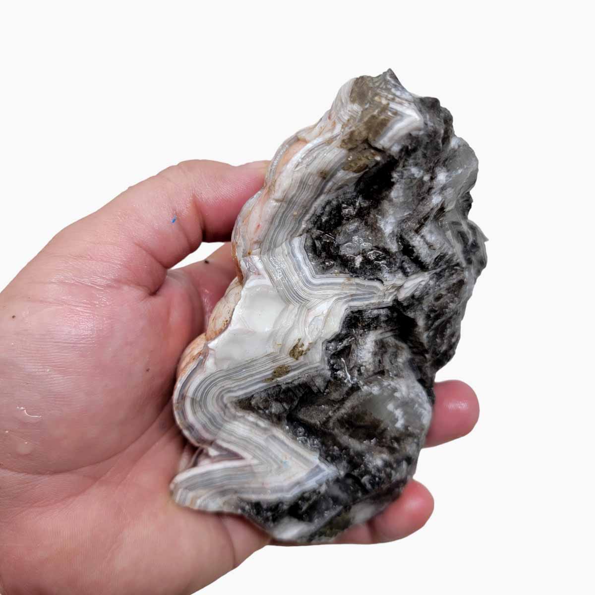 Old Vein Lace Agate Rough Chunk!