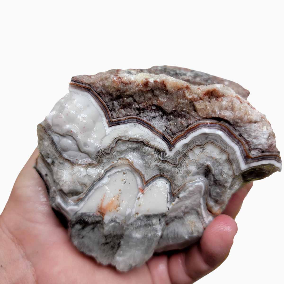 Old Vein Lace Agate Rough Chunk!