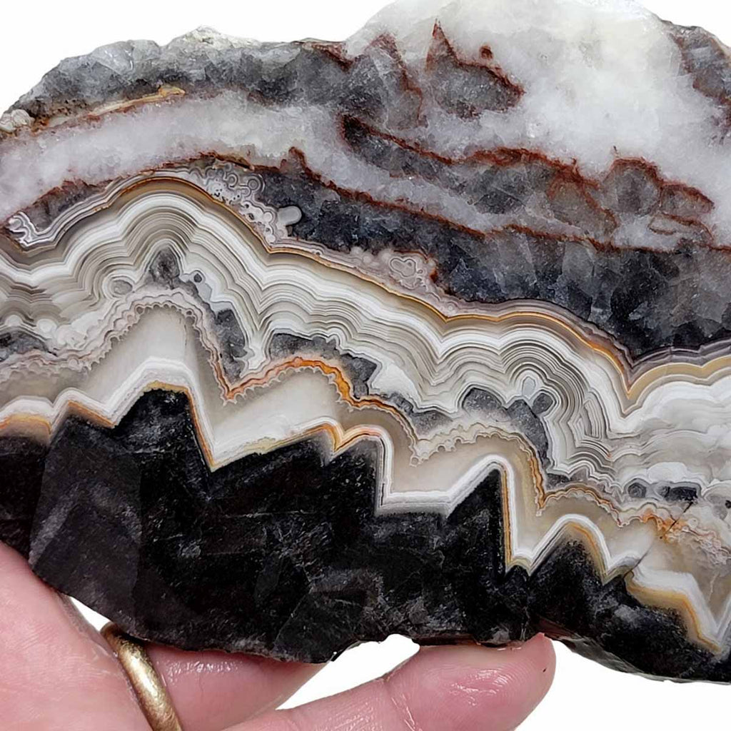 Old Vein Crazy Lace Agate Slab! Lapidary Stone Slab!