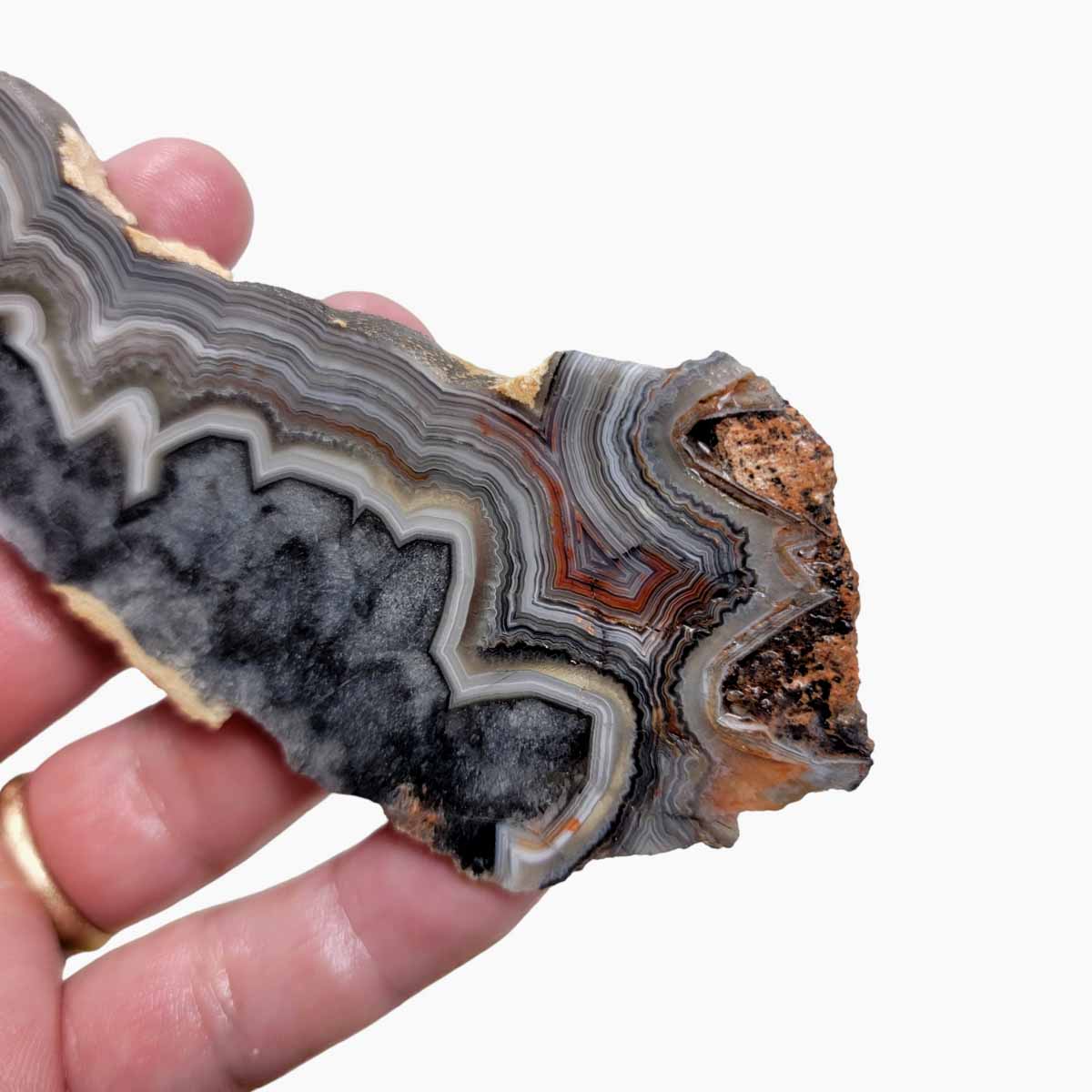 Old Vein Crazy Lace Agate Slab!  Lapidary Stone Slab!