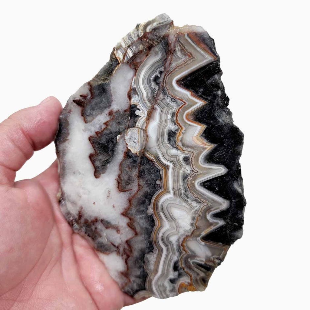 Lacy Rocks Slabs Old Vein Crazy Lace Agate Slab! Lapidary Stone Slab!