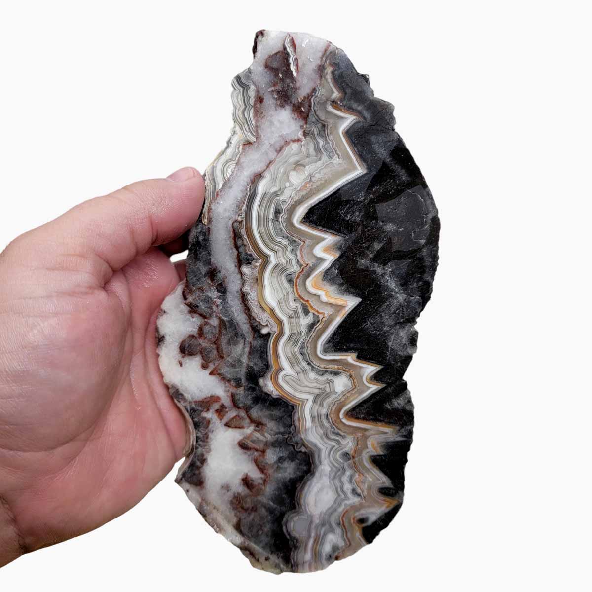 Old Vein Crazy Lace Agate Slab!  Lapidary Stone Slab!