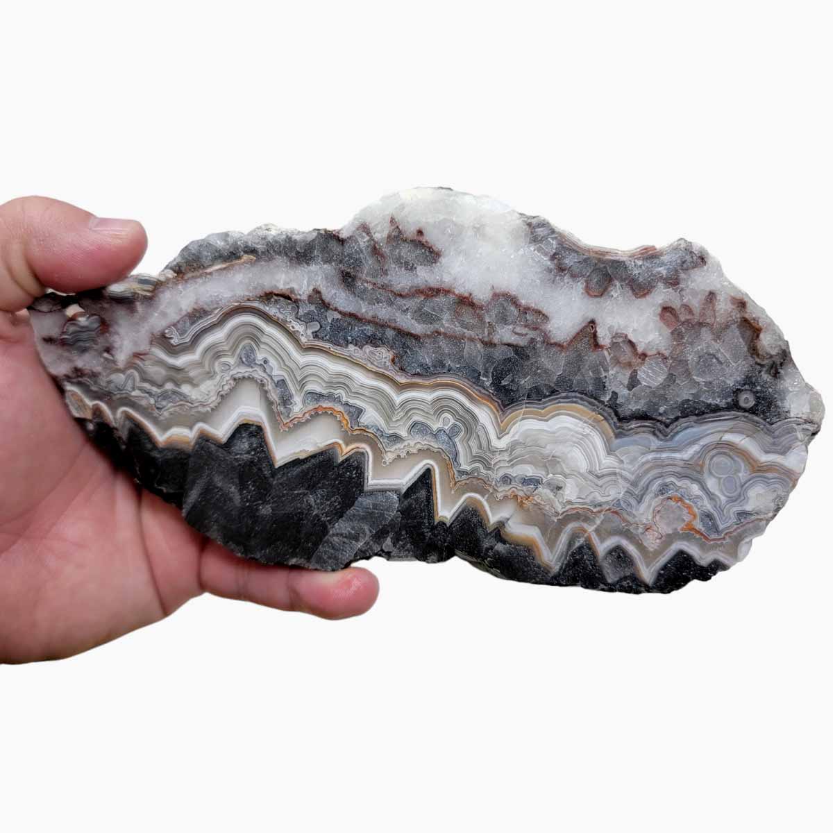 Old Vein Crazy Lace Agate Slab!  Lapidary Stone Slab!