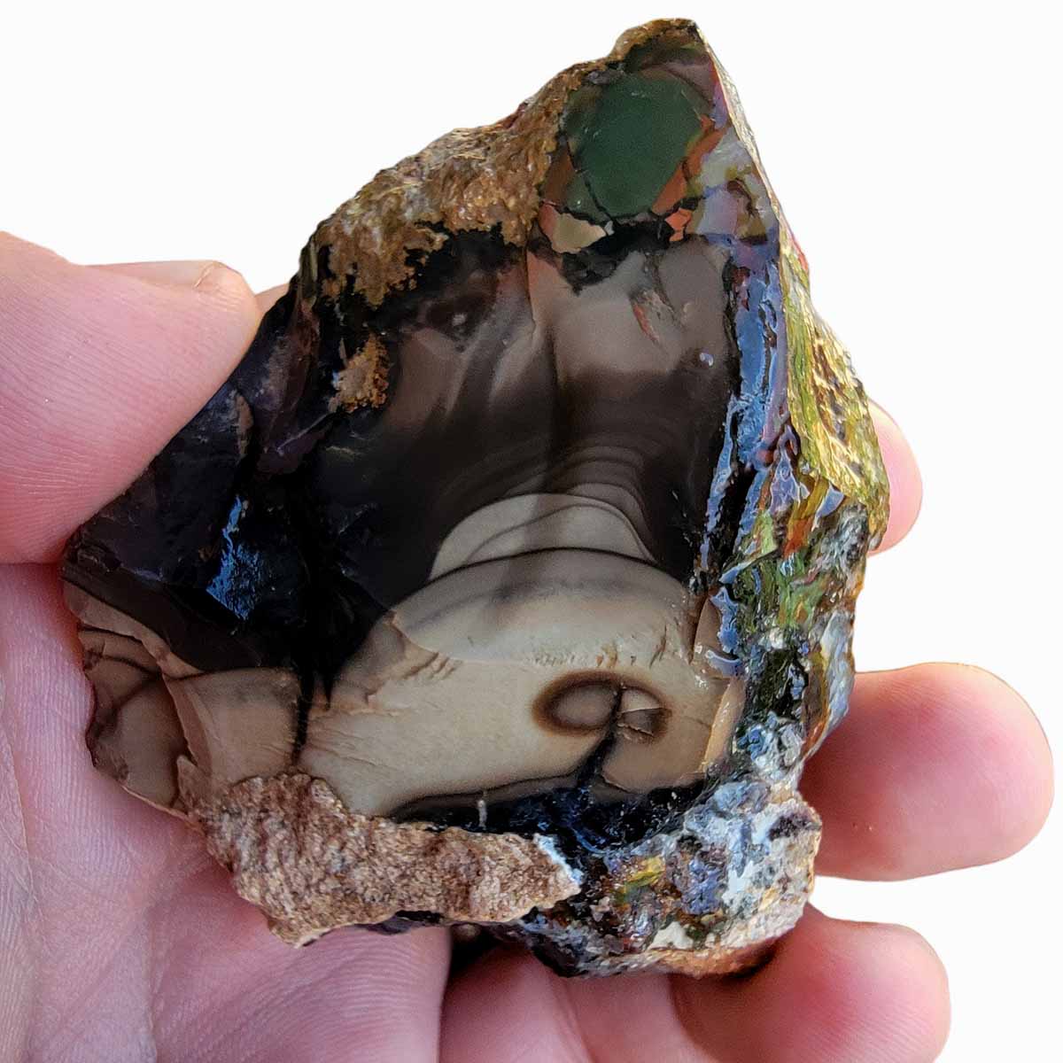 Rare Whisky Creek Orbicular Jasper with Smoky Rustic Orbs and Breccia on top.