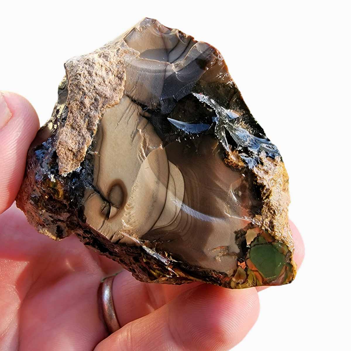 Orbicular Whisky Creek Jasper Rough Chunk!  RARE!