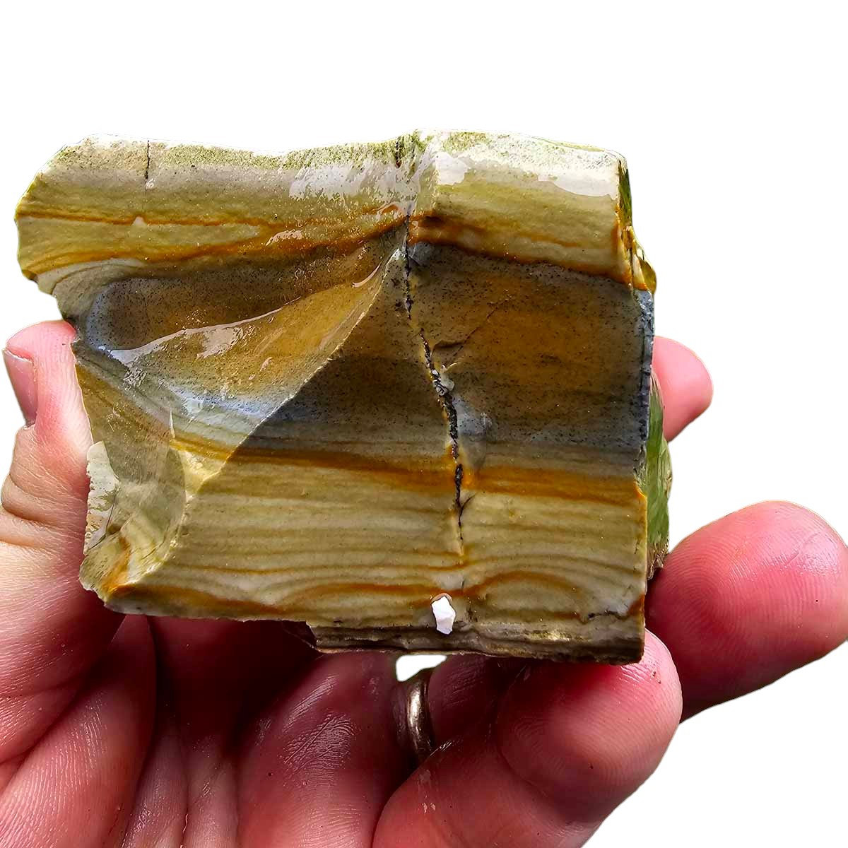 Arroyo Picture Jasper Rough Chunk