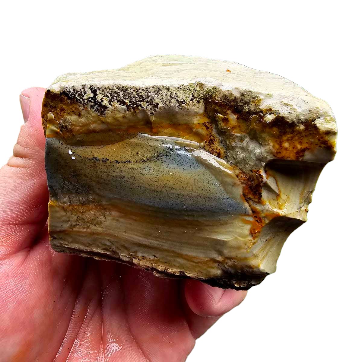 Arroyo Picture Jasper Rough Chunk