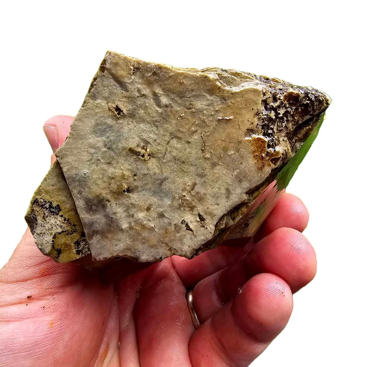 Arroyo Picture Jasper Rough Chunk