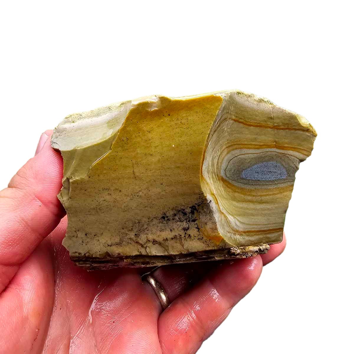 Arroyo Picture Jasper Rough Chunk