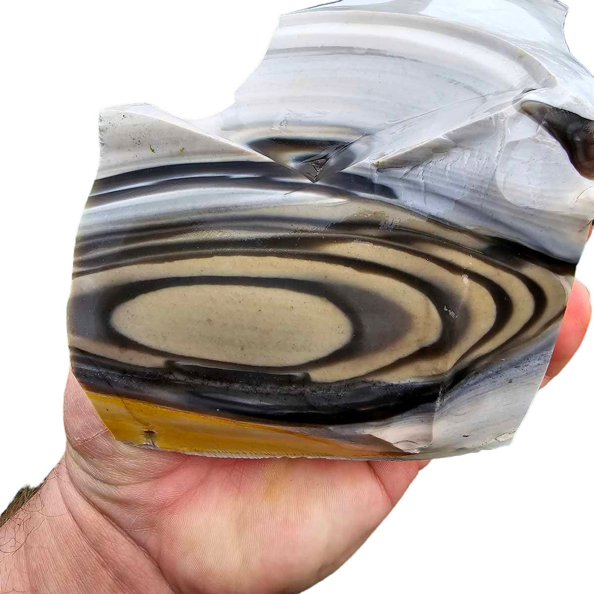 Flint With Rounded Edges RARE Polish Flint Orbicular Rough Chunk!