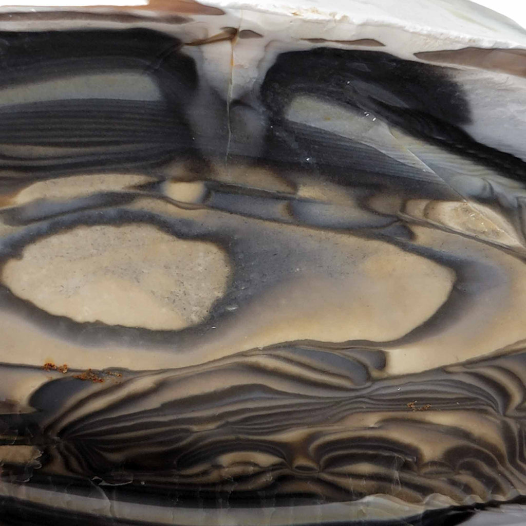 Flint With Rounded Edges RARE Polish Flint Orbicular Rough Chunk!