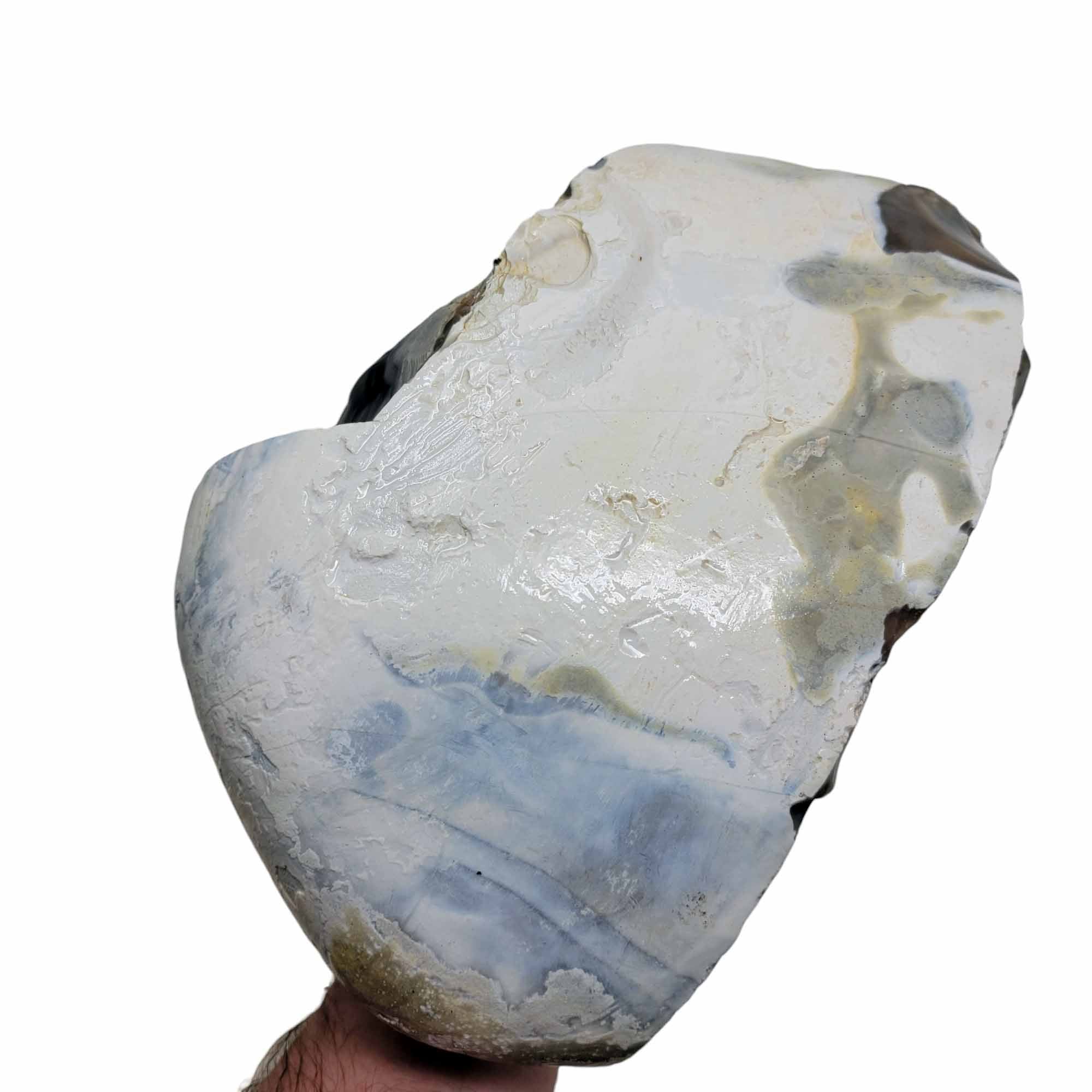 RARE Polish Flint Orbicular Rough Chunk!