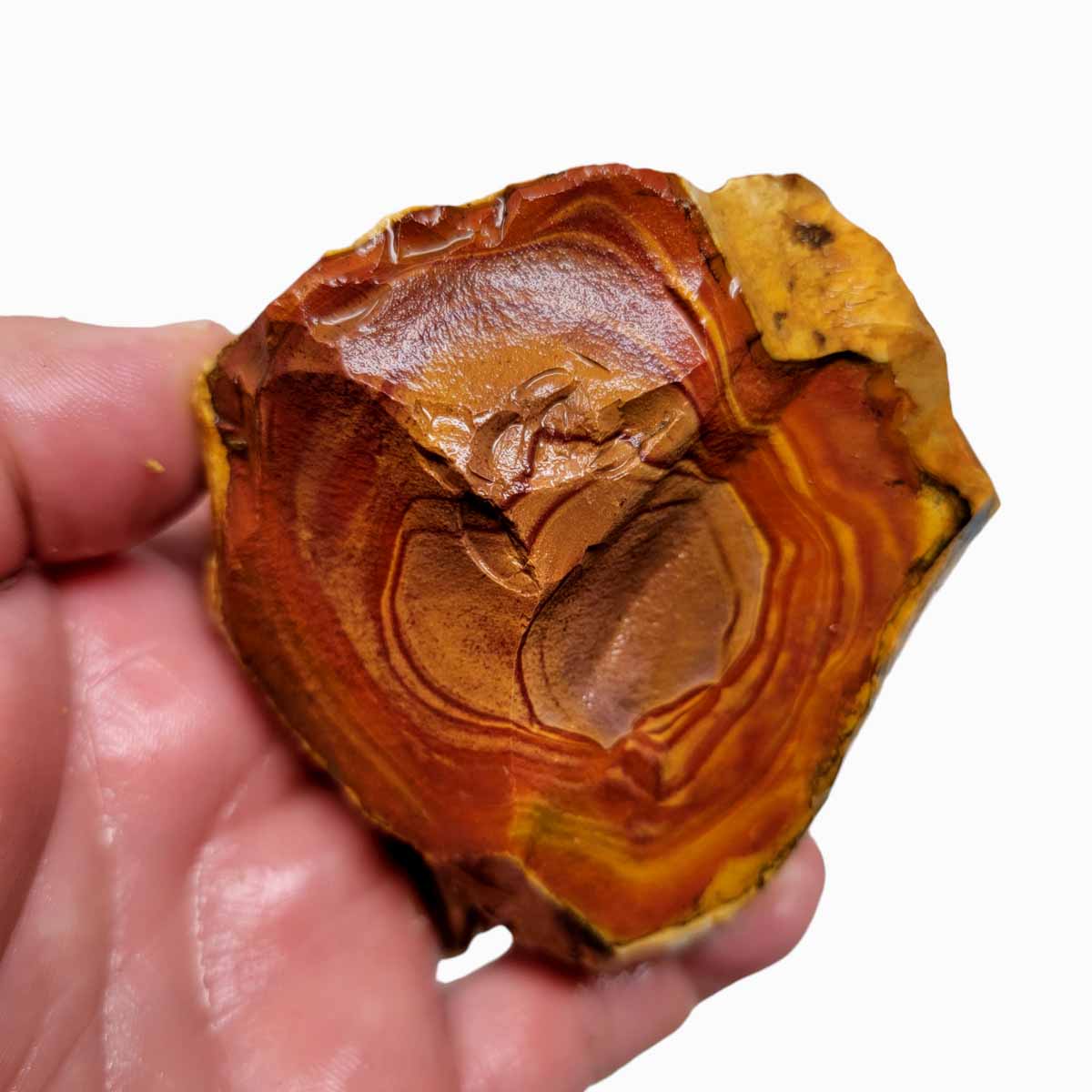 Polychrome Jasper Rough Polychrome Jasper Rough Chunk!