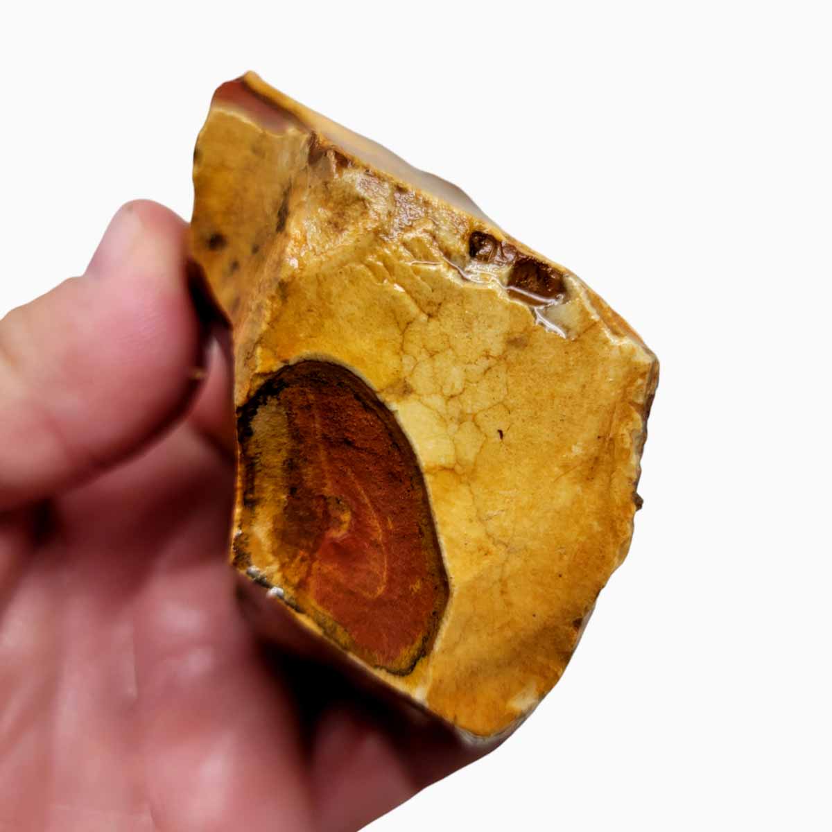Polychrome Jasper Rough Polychrome Jasper Rough Chunk!