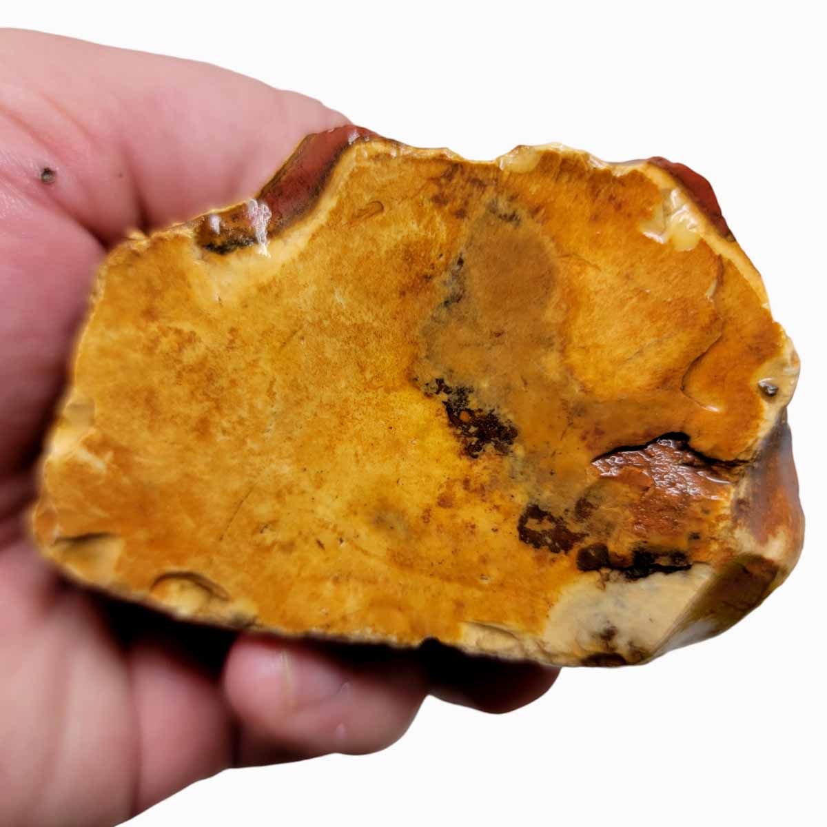 Polychrome Jasper Rough Polychrome Jasper Rough Chunk!