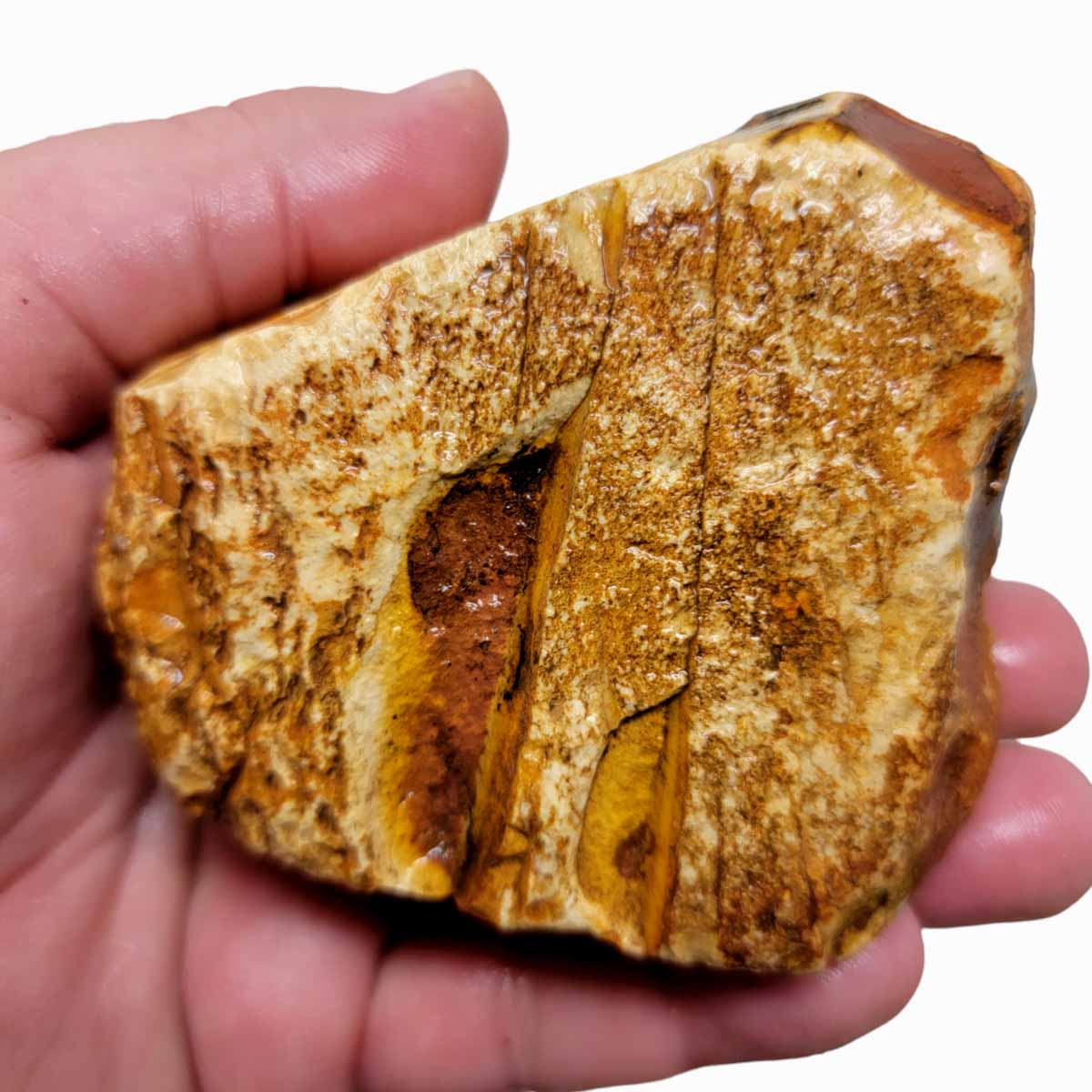 Polychrome Jasper Rough Polychrome Jasper Rough Chunk!
