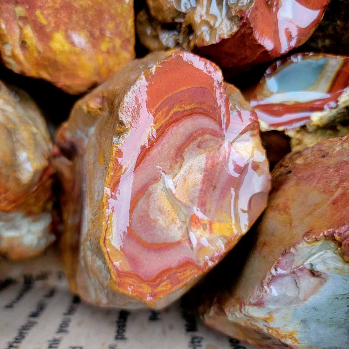 Polychrome Jasper Cutting Rough Flatrate!