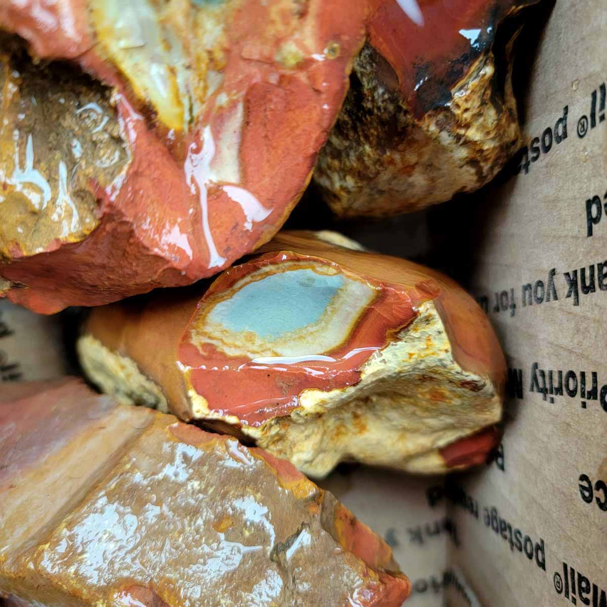 Polychrome Jasper Cutting Rough Flatrate!