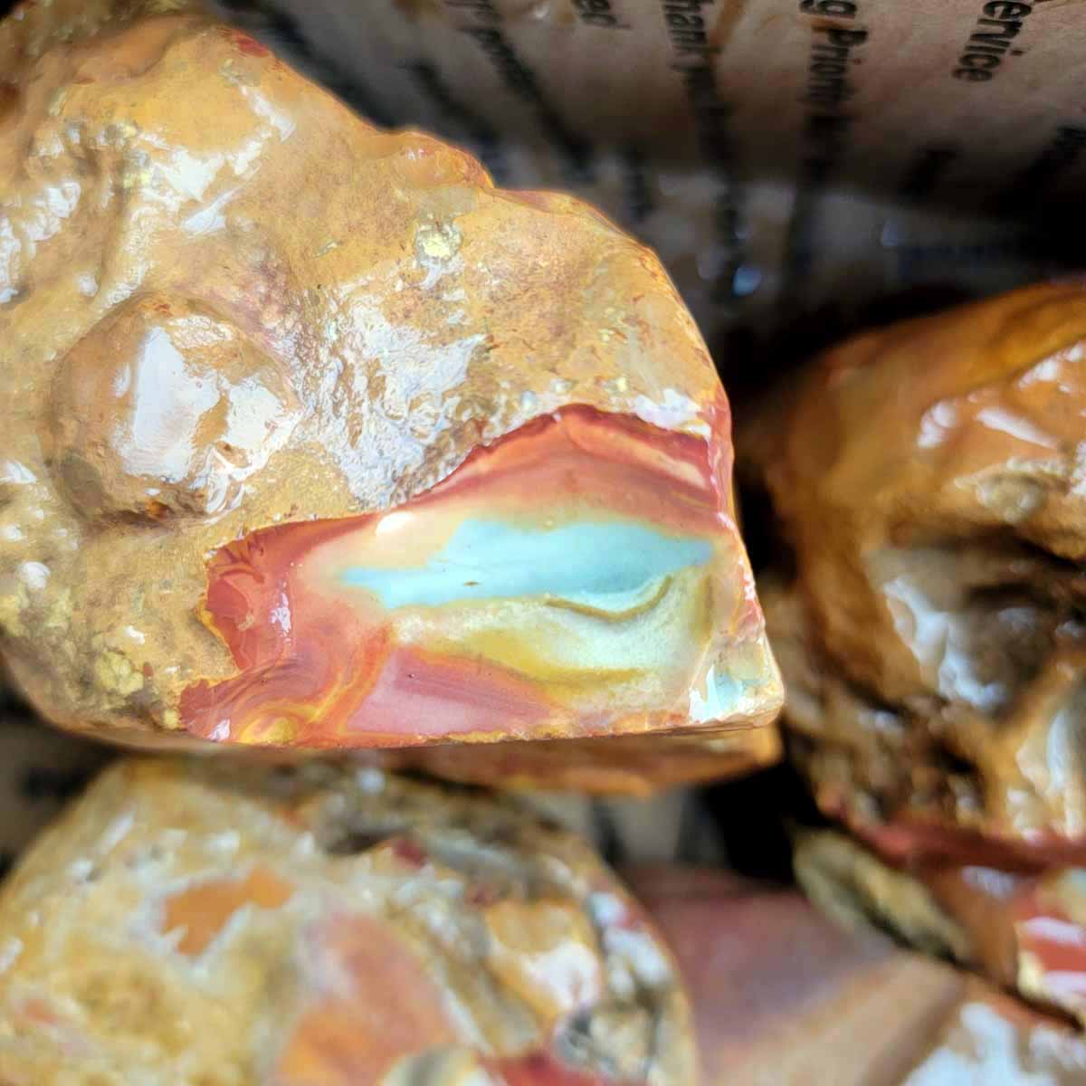 Polychrome Jasper Cutting Rough Flatrate!