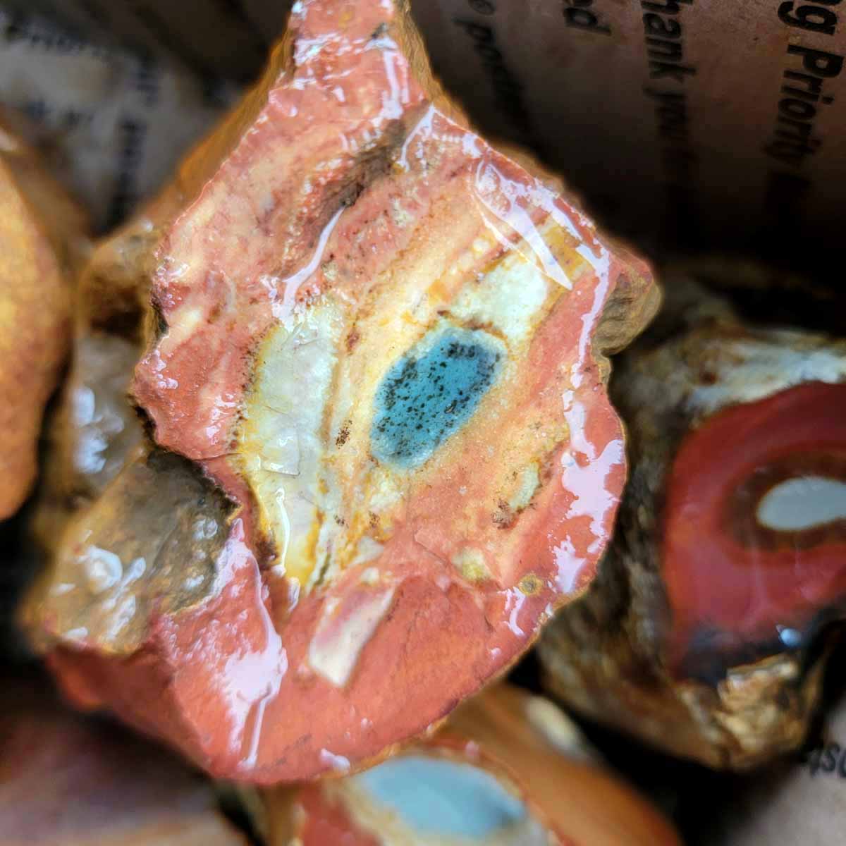 Polychrome Jasper Cutting Rough Flatrate!